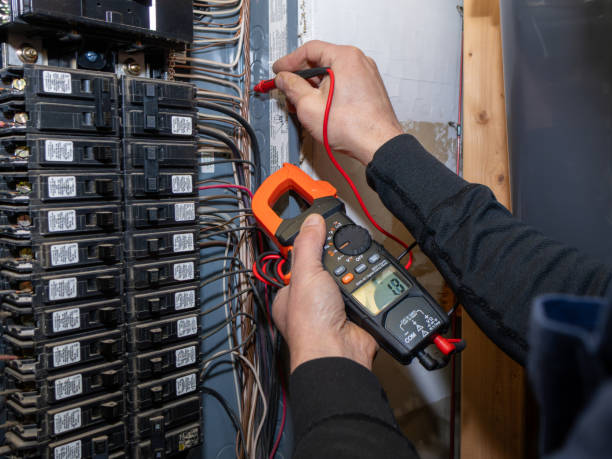 Best Ceiling Fan Installation Electrician  in Dunbar, SC